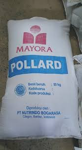 Bran Pollard Mayora