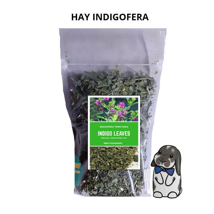 Indigofera hay