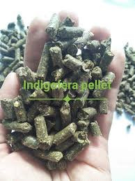 Indigofera pellet murni