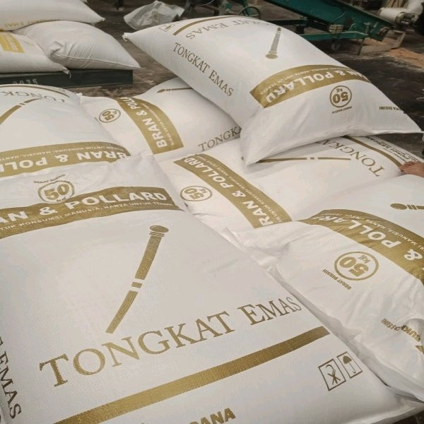 Bran Pollard Tongkat Emas Cilegon
